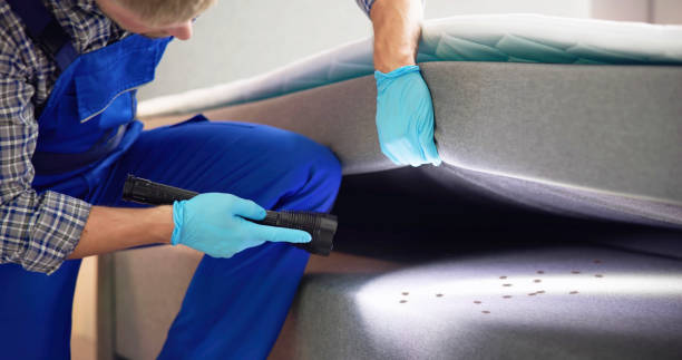 Best Local Pest Control Services  in Coldstream, OH