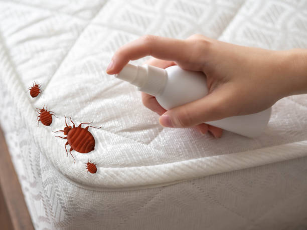 Pest Control for Restaurants in Coldstream, OH