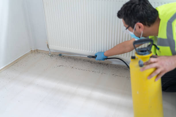 Trusted Coldstream, OH Pest Control Experts